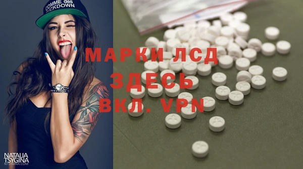 прущие грибы Армянск