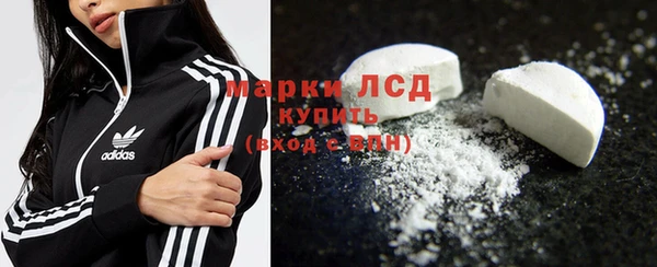 прущие грибы Армянск