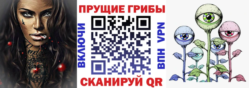 Псилоцибиновые грибы Magic Shrooms  Мытищи 